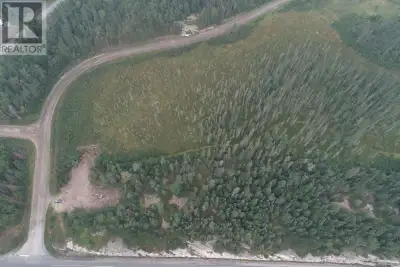 Turn this 12.6-acre property into a thriving project/development - Approx. 669 ft. of frontage on th...