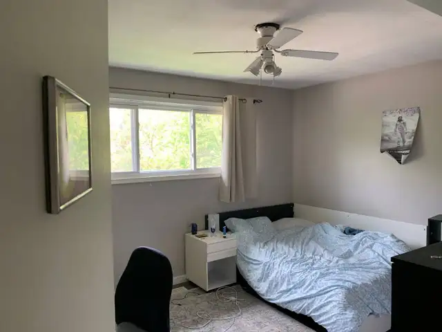 3-38 Marshall St in Long Term Rentals in Kitchener / Waterloo - Image 19