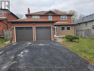 Gorgeous 1 Bedroom Basement apartment available in a Detached Home! Features Kitchen W/Breakfast Are...