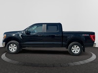 For more than thirty years, the Ford F-150 has been one of the best selling cars in the U.S. It’s a... (image 1)