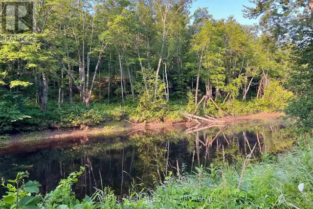 PART LOT 28 CONCESSION 12 BLACK RIVER ROAD Kawartha Lakes (Dalto in Land for Sale in Barrie - Image 13