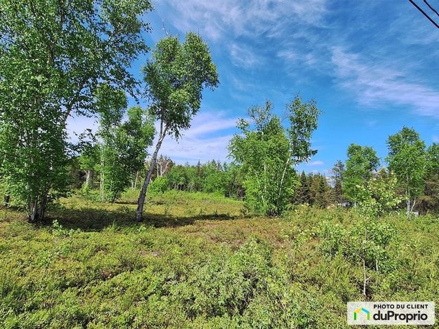 $100,000 - Residential Lot for sale in Dolbeau-Mistassini — photo 1