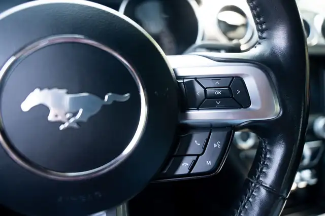 2022 Ford Mustang5919031836449382413
