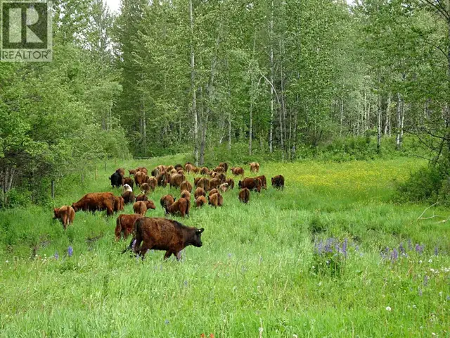 DL5277 DAY ROAD Horsefly, British Columbia in Land for Sale in Williams Lake - Image 17