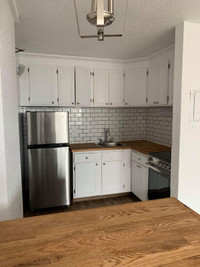 Renovated 1 Bedroom  October South End.