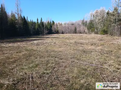 Pour ceux qui aiment la tranquillité et la nature avec les commodités de la ville à proximité. Beau...