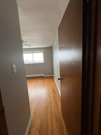 Nice 1 Bedroom Unit 14 is available immediately on second floor with balcony in well maintained 16 u... (image 8)