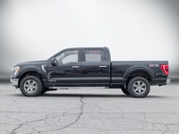 Check out this 2022 Ford F-150 before it's too late! *This Ford F-150 Is Competitively Priced with T... (image 2)