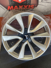 Tesla Rims 19" Silver  including center caps