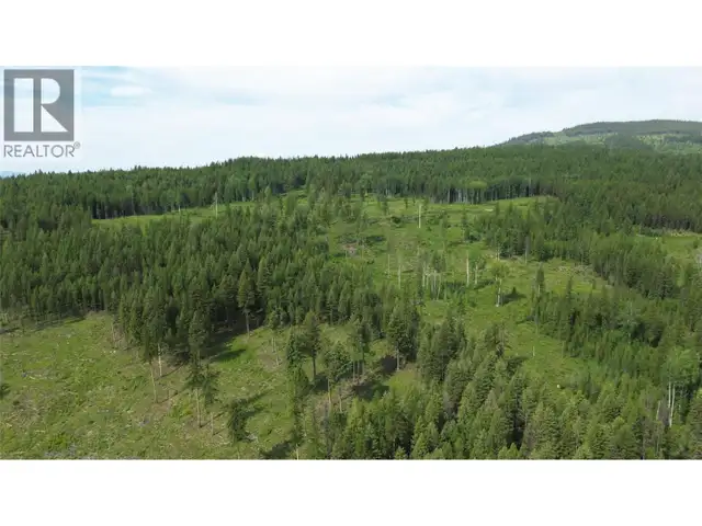 2375 BELCHROME FSR Road Bridesville, British Columbia in Land for Sale in Penticton - Image 18