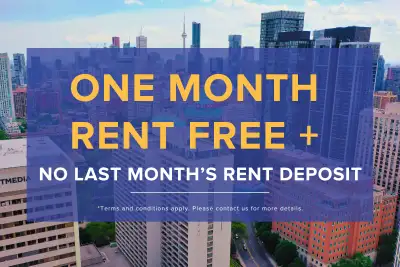 Huntley Apartments - 2 Bdrm available at 77 Huntley Street, Toro