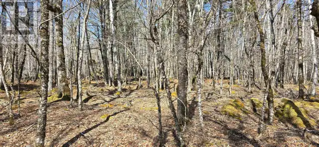 69 Sparkling Spring Lane Labelle, Nova Scotia in Land for Sale in Bridgewater - Image 11