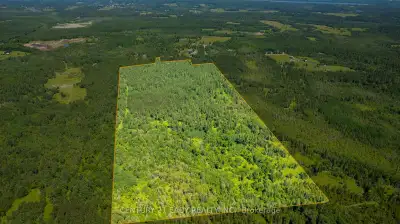 This stunning 92-acre parcel offers the perfect blend of natural beauty, privacy, and convenience. A...