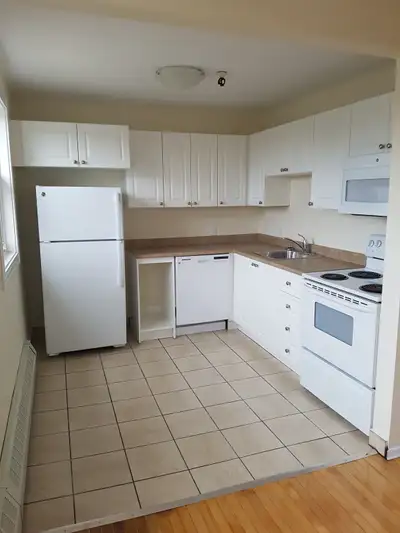 Spacious & Updated 1-Bedroom Apartment - 92 Evans Ave $1595.00