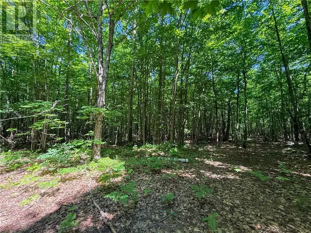 514C East Road Mindemoya, Manitoulin Island, Ontario in Land for Sale in Sudbury - Image 30