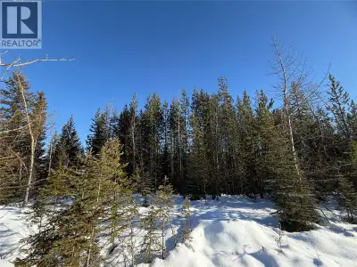 Tucked into one of Elkford’s most desirable neighborhoods, this .227-acre vacant lot is your chance...