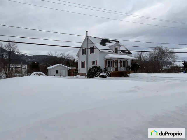 $335,000 - 2 Storey for sale in L'Anse-St-Jean — photo 2