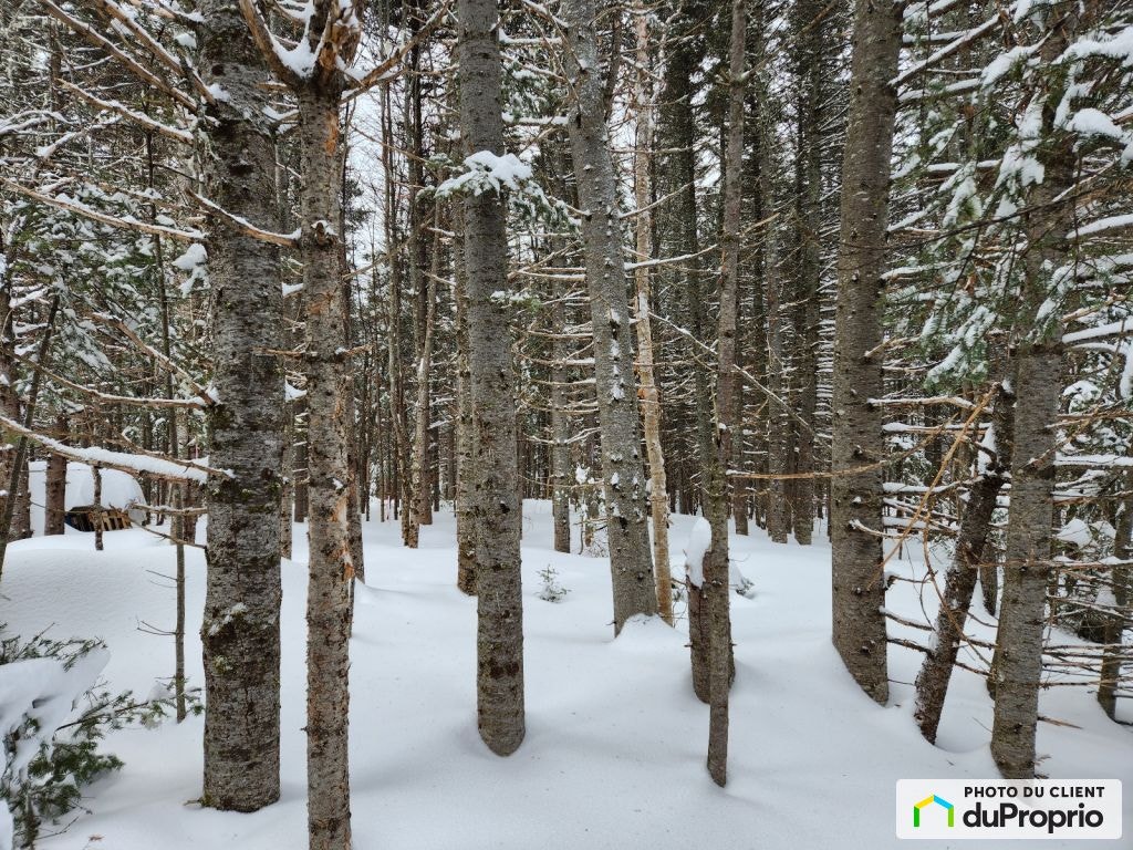 $179,500 - Wood Lot for sale in Port-Daniel — photo 3