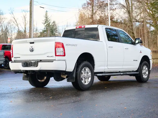2019 Ram 350065187285238145123