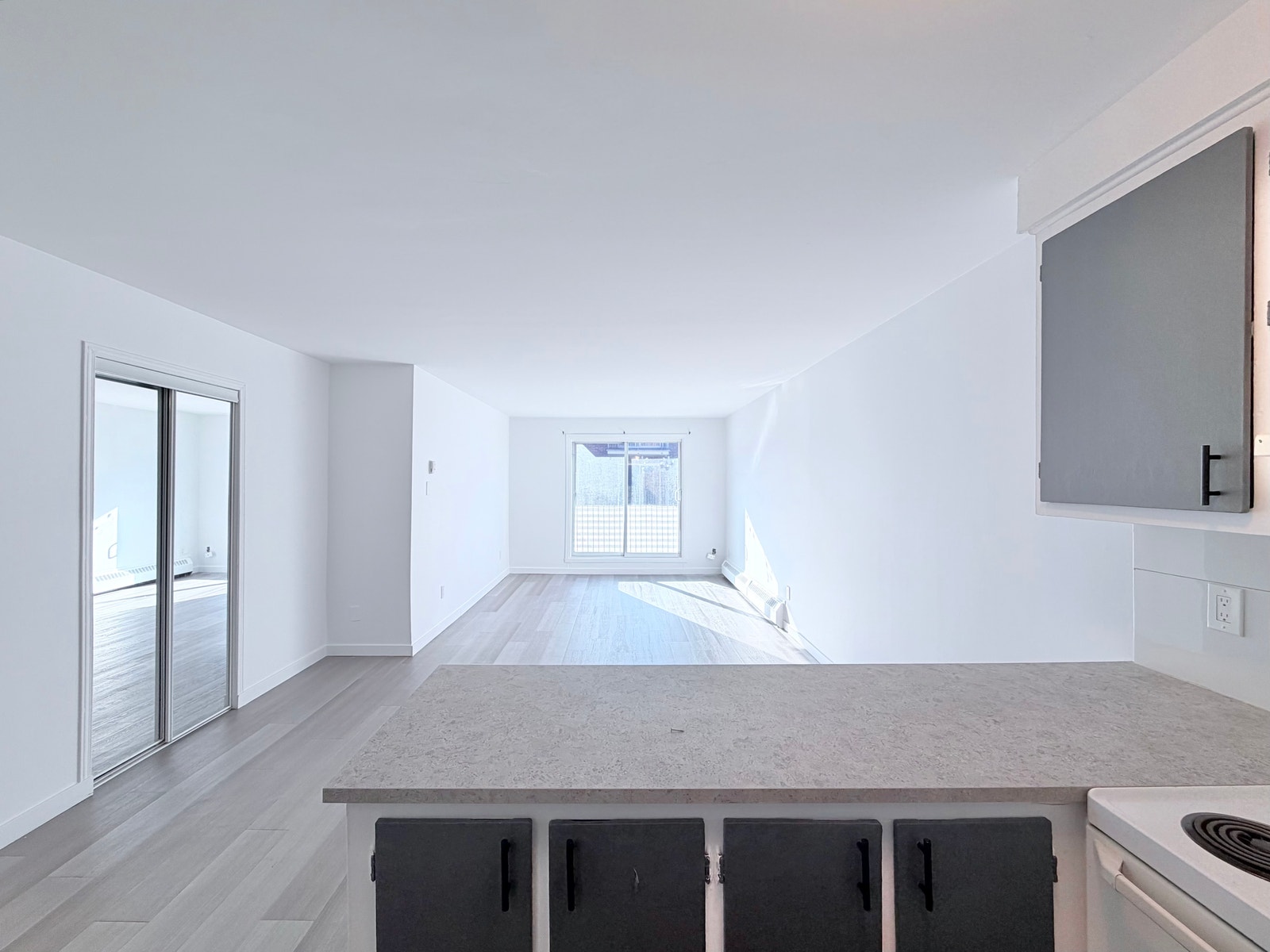 253 rue Notre-Dame — photo 1