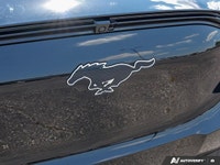 Experience the electrifying spirit of Mustang, reimagined for the future. This stunning 2025 Ford Mu... (image 8)
