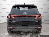 BLACK, LEATHER SEAT TRIM, ASH BLACK, Wireless Phone Connectivity, Wheels: 19 x 7.5J Aluminum, Wheels... (image 4)