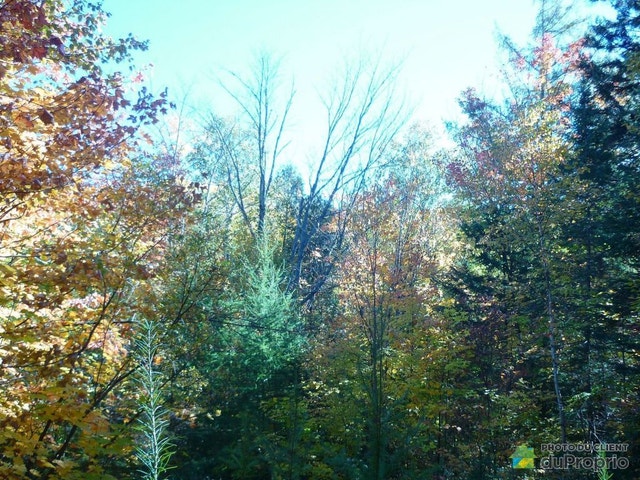 $149,000 - Residential Lot for sale in Ste-Adele — photo 3