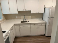 Brand New 1 Bedroom Apartment for Rent