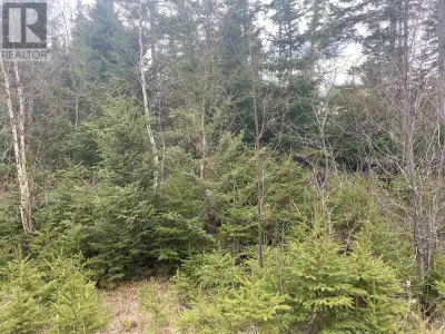 1.2 acre lot secluded and private with beach access. Ideal location for your new cottage. Lot is all...
