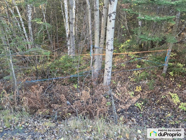 $85,000 - Residential Lot for sale in Alma — photo 2