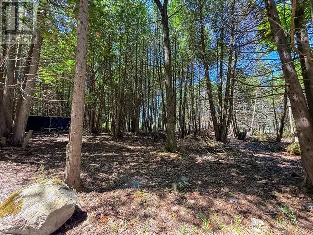 514C East Road Mindemoya, Manitoulin Island, Ontario in Land for Sale in Sudbury - Image 18