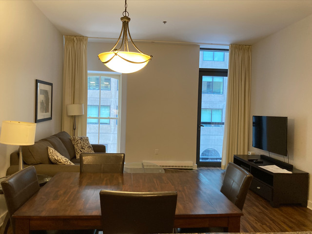 Executive Furnished 1 Bedroom Available NOW in Short Term Rentals in Ottawa - Image 3