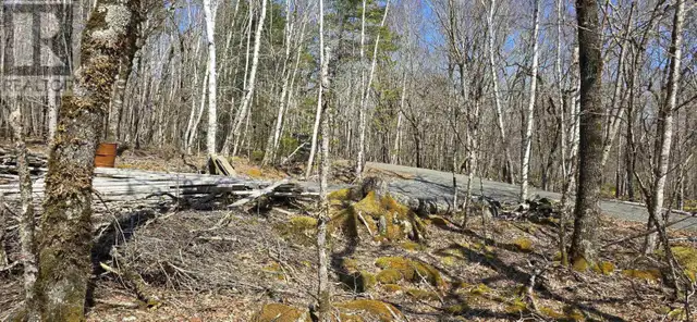 69 Sparkling Spring Lane Labelle, Nova Scotia in Land for Sale in Bridgewater - Image 8