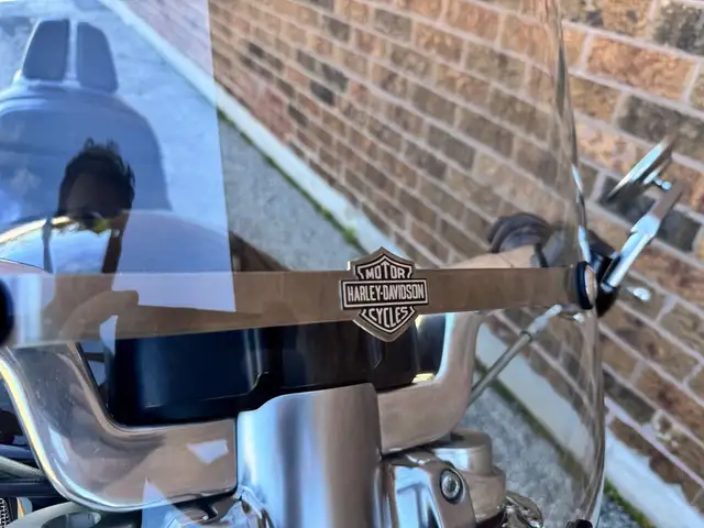 2010 Harley-Davidson V-Rod Muscle **LOW KMS** **EXTRAS** in Street, Cruisers & Choppers in Markham / York Region - Image 15