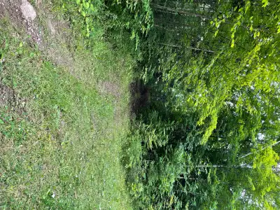 Beautiful 2 Acres-Haliburton Seller Financing $490/mth, View more