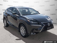 This Lexus NX has a powerful Intercooled Turbo Premium Unleaded I-4 2.0 L/122 engine powering this A... (image 7)