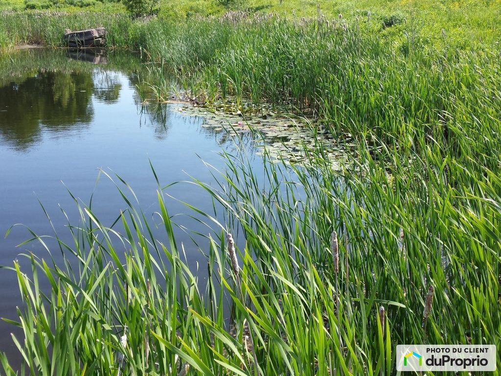 $695,000 - Acreage / Hobby Farm / Ranch for sale in St-Norbert — photo 3