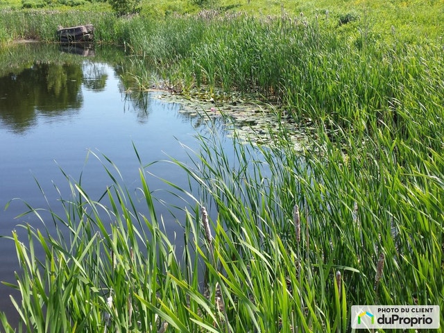 $695,000 - Acreage / Hobby Farm / Ranch for sale in St-Norbert — photo 3
