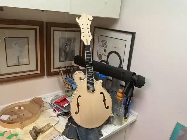 Violin, cello and string instrument Luthier5502229025292390419