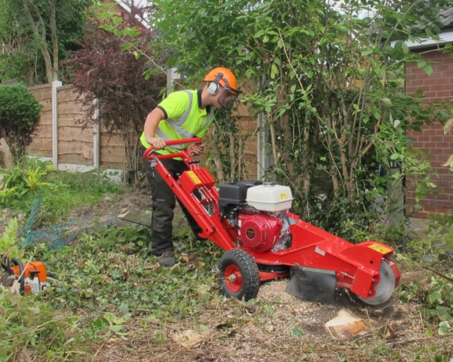 Stump Grinding Services (HCTT) in Lawn, Tree Maintenance & Eavestrough in Saint John - Image 3