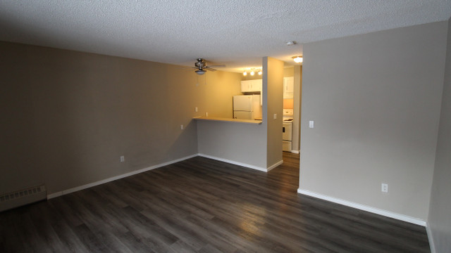 Bankview Apartment For Rent | Spring Garden Terrace in Long Term Rentals in Calgary - Image 2