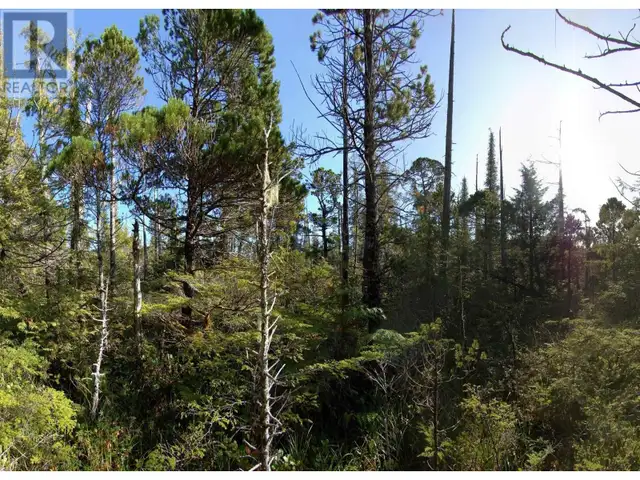 1302 GOBLE POINT Prince Rupert, British Columbia in Land for Sale in Prince Rupert - Image 28