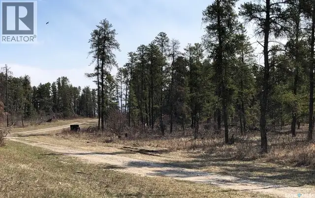 Rec Lot 3/2 Hudson Bay Rm No. 394, Saskatchewan in Land for Sale in Nipawin - Image 6