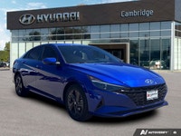 Effortless parking and advanced driver assistance define the exceptional experience of this Intense... (image 6)