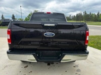 This Ford F-150 delivers a Regular Unleaded V8 5.0 L engine powering this Automatic transmission. EN... (image 9)