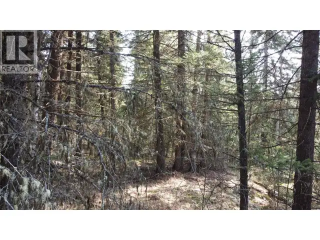 LOT B BRYCE ROAD Forest Grove, British Columbia in Land for Sale in 100 Mile House - Image 24