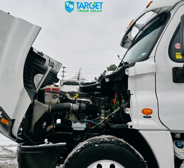 2019 FREIGHTLINER Daycab 782K Kilometers Driven in Heavy Trucks in Mississauga / Peel Region - Image 9