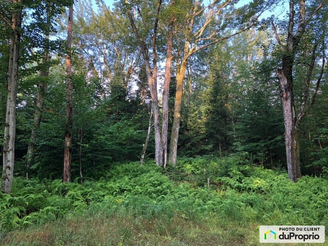 $249,000 - Residential Lot for sale in Eastman — photo 2
