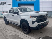 Saskatoon Motor Products - Recent Arrival! 2024 Chevrolet Silverado 1500 LT Trail Boss - Certified.... (image 7)