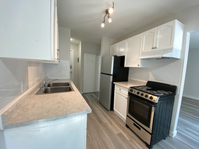 Queen Mary Park Apartment For Rent | Centre 110 in Long Term Rentals in Edmonton - Image 2